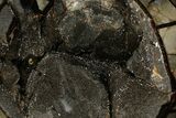 Septarian Dragon Egg Geode - Black Crystals #177424-1